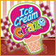 Download Ice Cream Craze game