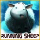 Running Sheep Game