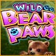 IGT Slots: Wild Bear Paws Game