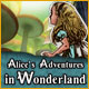 Alice's Adventures in Wonderland Game
