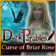 Download Dark Parables: Curse of the Briar Rose game