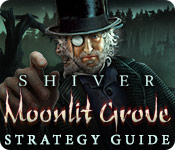 Shiver: Moonlit Grove Strategy Guide game