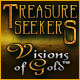 Download Treasure Seekers: Visions of Gold game