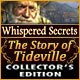 Download Whispered Secrets: The Story of Tideville Collector's Edition game