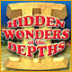 Hidden Wonders of the Depths 2 game