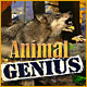 Animal Genius Game
