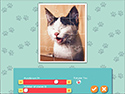 1001 Jigsaw Cute Cats screenshot