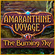 Download Amaranthine Voyage: The Burning Sky game