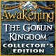 Awakening: The Goblin Kingdom Collector's Edition Game