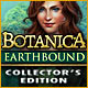Download Botanica: Earthbound Collector's Edition game