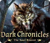 Dark Chronicles: The Soul Reaver game