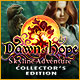 Download Dawn of Hope: Skyline Adventure Collector's Edition game