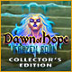 Download Dawn of Hope: The Frozen Soul Collector's Edition game