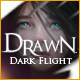 Download Drawn: Dark Flight game