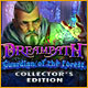 Download Dreampath: Guardian of the Forest Collector's Edition game