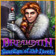 Dreampath: Guardian of the Forest Game