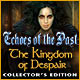 Download Echoes of the Past: The Kingdom of Despair Collector's Edition game