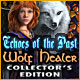 Download Echoes of the Past: Wolf Healer Collector's Edition game