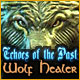 Download Echoes of the Past: Wolf Healer game