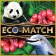 Eco-Match Game