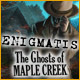 Download Enigmatis: The Ghosts of Maple Creek game