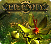 Eternity game