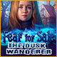 Download Fear for Sale: The Dusk Wanderer game