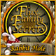 Flux Family Secrets - The Rabbit Hole Game
