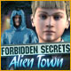 Download Forbidden Secrets: Alien Town game
