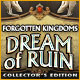 Download Forgotten Kingdoms: Dream of Ruin Collector's Edition game