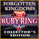 Download Forgotten Kingdoms: The Ruby Ring Collector's Edition game