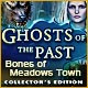 Download Ghosts of the Past: Bones of Meadows Town Collector's Edition game