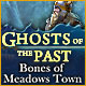 Download Ghosts of the Past: Bones of Meadows Town game