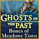 Ghosts of the Past: Bones of Meadows Town Game