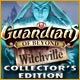 Download Guardians of Beyond: Witchville Collector's Edition game