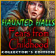 Haunted Halls: Fears from Childhood Collector's Edition Game