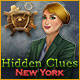 Download Hidden Clues: New York game