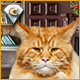 Download I Love Finding Cats Collector's Edition game