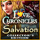 Download Love Chronicles: Salvation Collector's Edition game