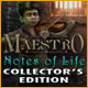 Download Maestro: Notes of Life Collector's Edition game