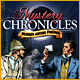 Mystery Chronicles: Murder Among Friends Game