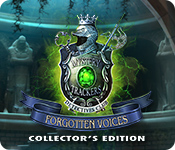 Mystery Trackers: Forgotten Voices Collector's Edition game