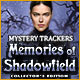 Download Mystery Trackers: Memories of Shadowfield Collector's Edition game