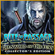 Download Rite of Passage: The Sword and the Fury Collector's Edition game