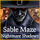 Download Sable Maze: Nightmare Shadows game
