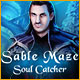 Download Sable Maze: Soul Catcher game