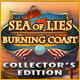 Download Sea of Lies: Burning Coast Collector's Edition game