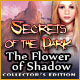 Download Secrets of the Dark: The Flower of Shadow Collector's Edition game