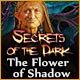 Download Secrets of the Dark: The Flower of Shadow game