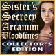 Sister's Secrecy: Arcanum Bloodlines Collector's Edition Game